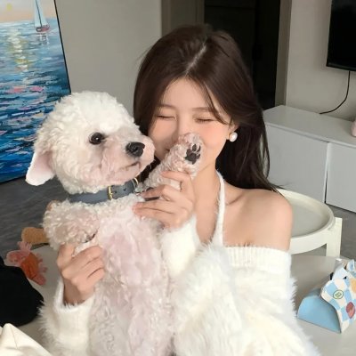 极主夫道第二季