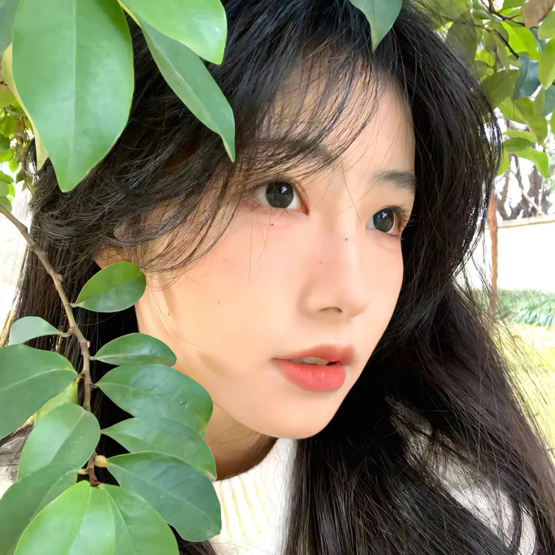 潇洒先生
